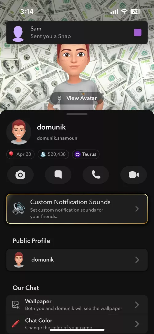 SS, your nudes but uses his government name 