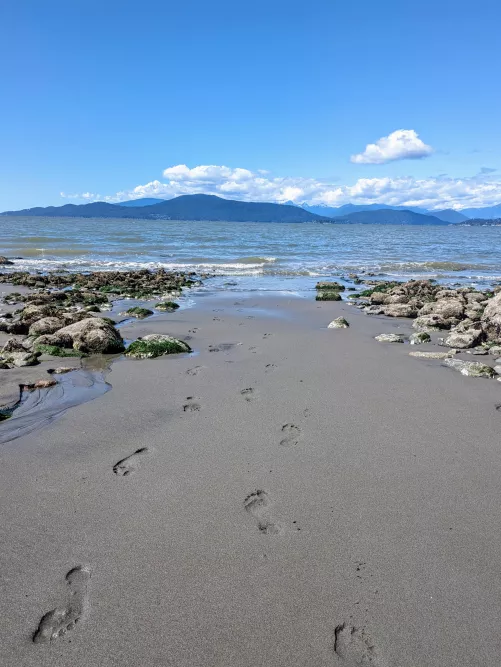 The nude stroll was too warm 