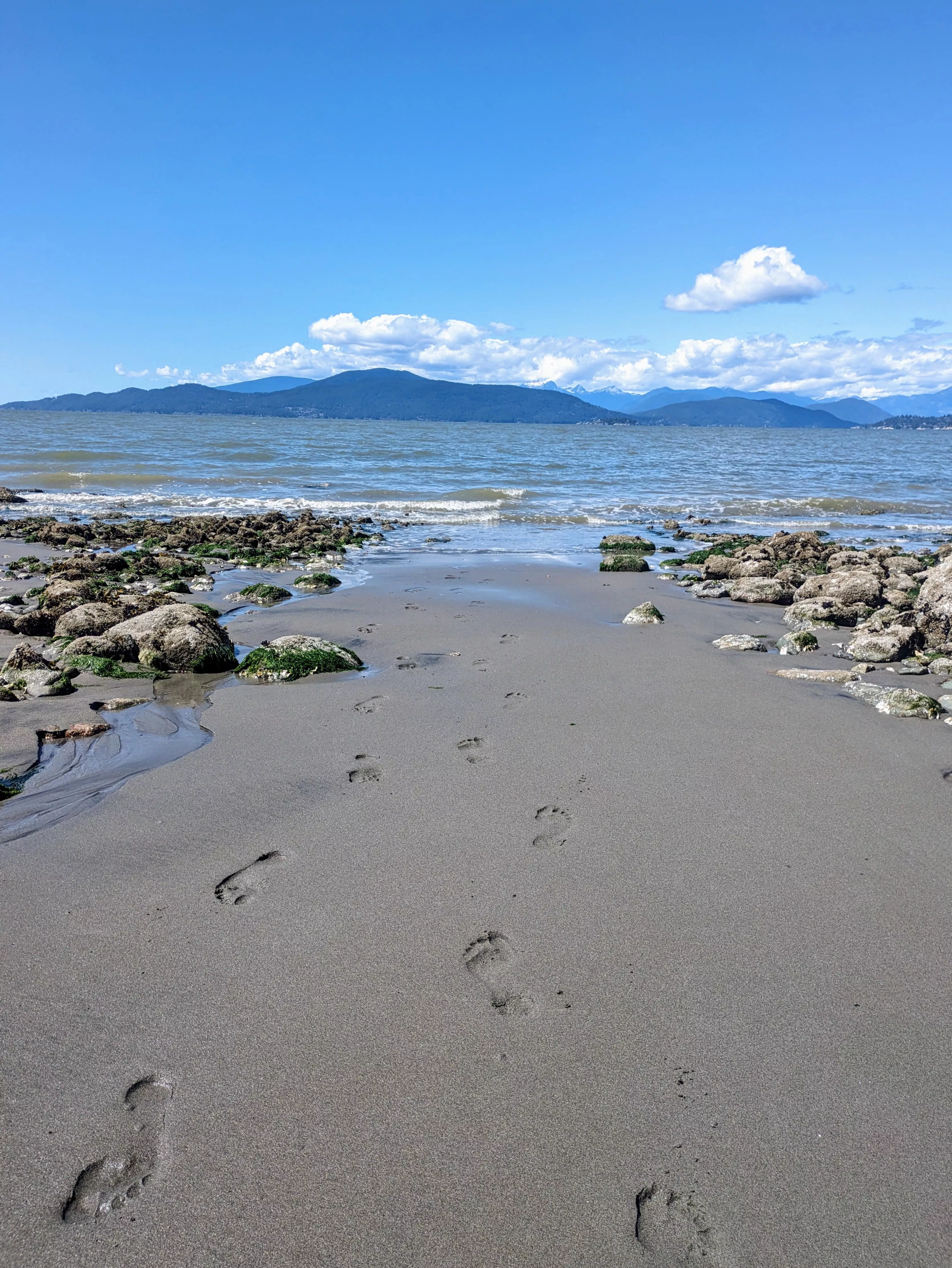 The nude stroll was too warm 