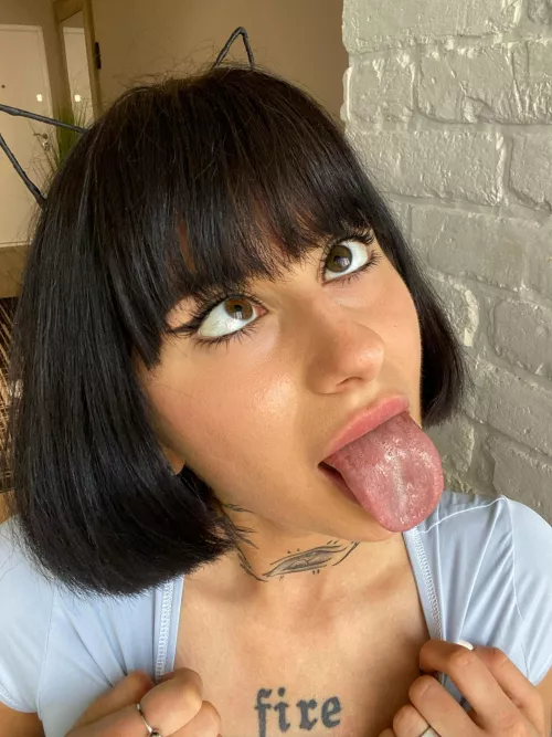 This kitty is incredibly hungry