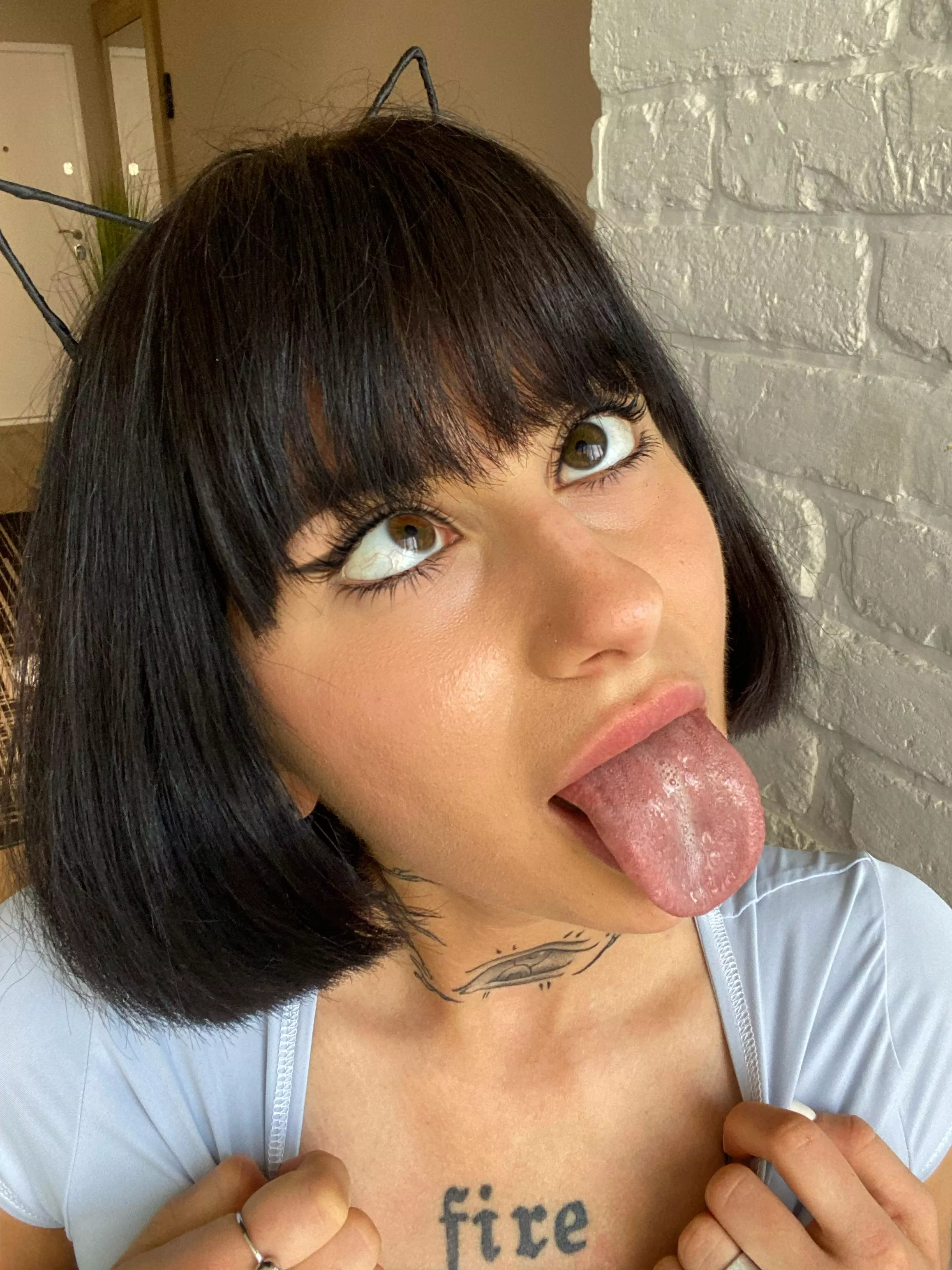 This kitty is incredibly hungry