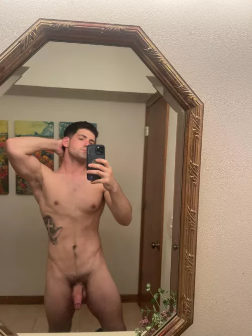 You can look but not touch