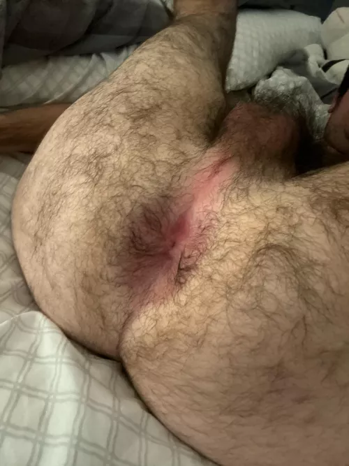 Breed my hole 