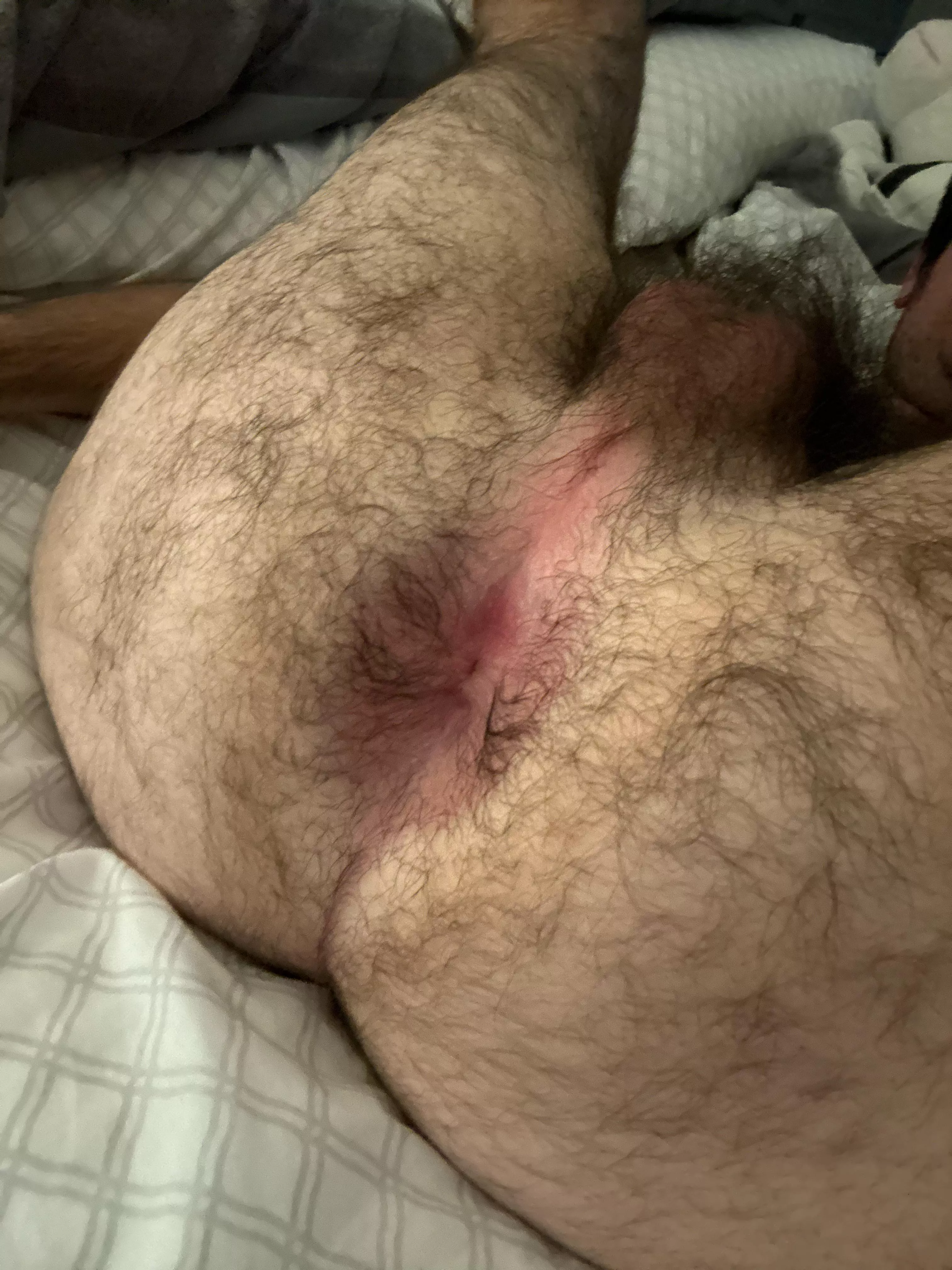 Breed my hole 