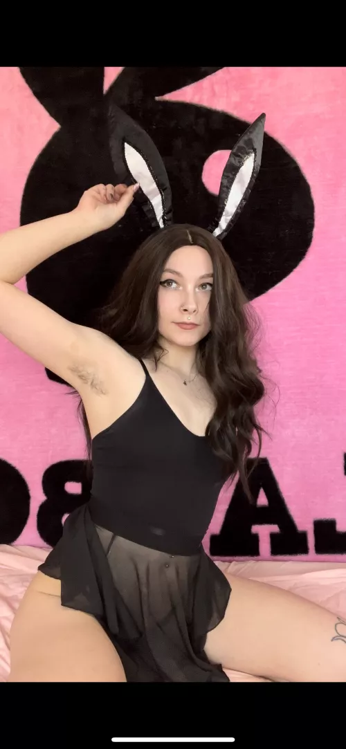 Can this bad bunny bounce on you