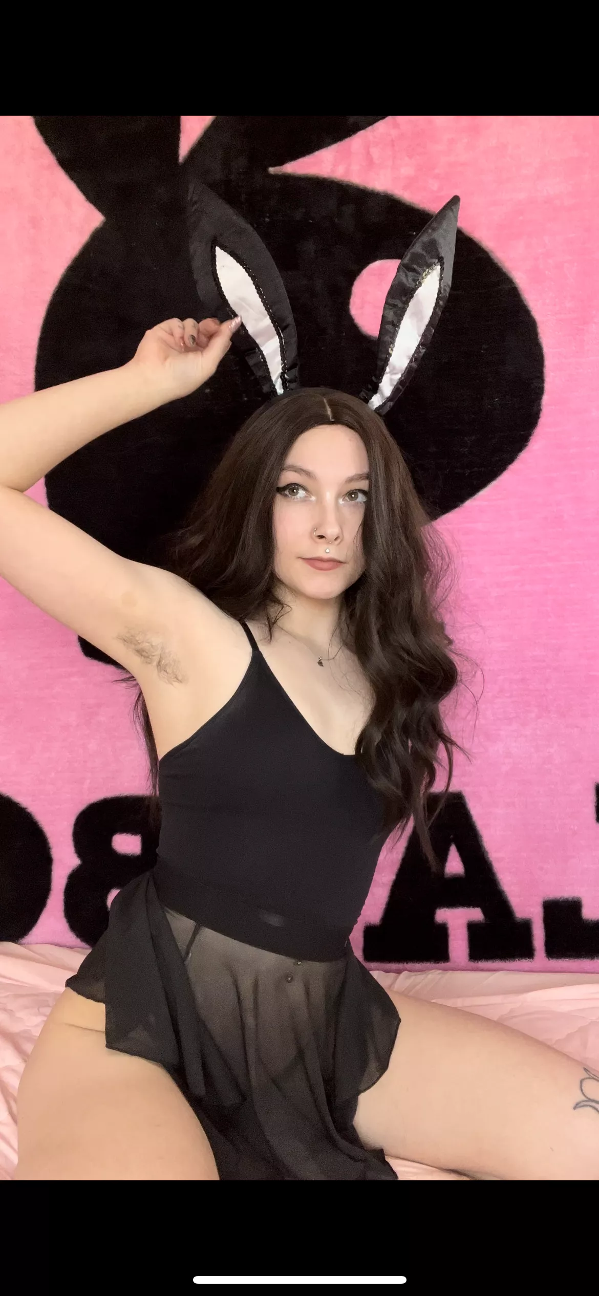 Can this bad bunny bounce on you