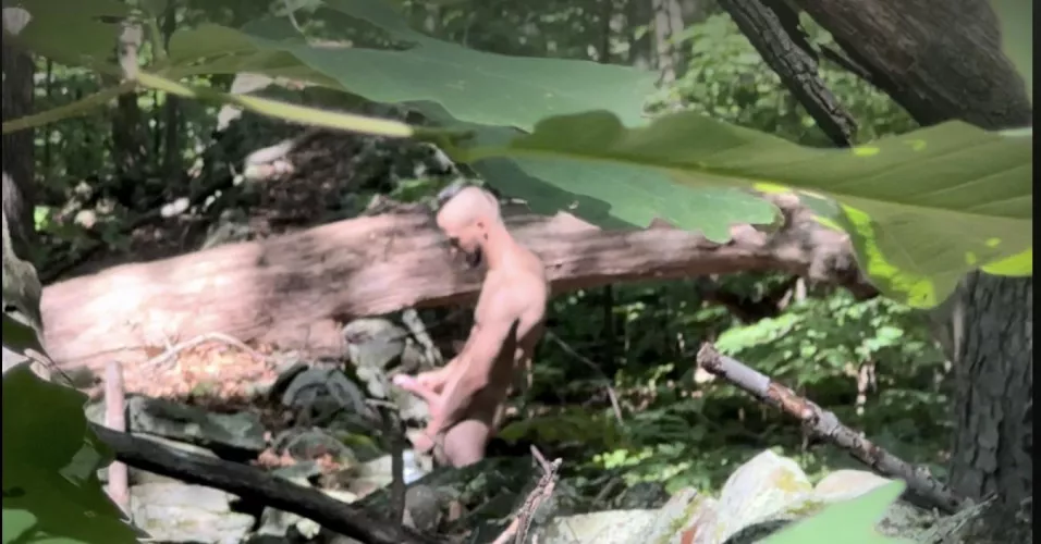 Caught this guy in a park