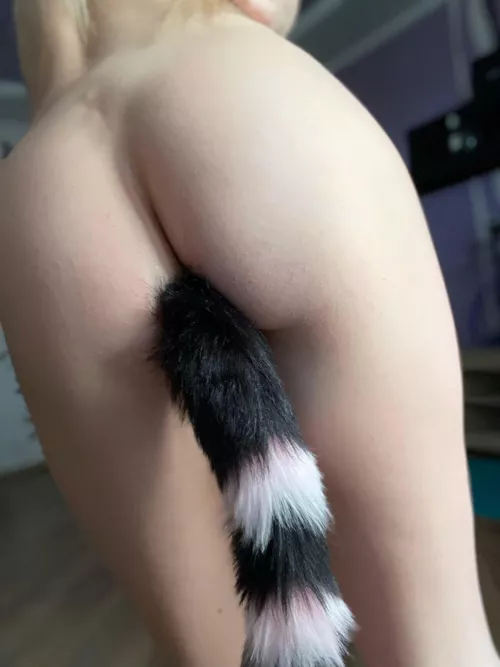 I dare you to remove my lovely tail plug using your mouth