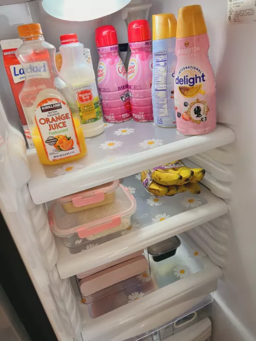 I got new fridge shelf liners and they are so cute 🌼