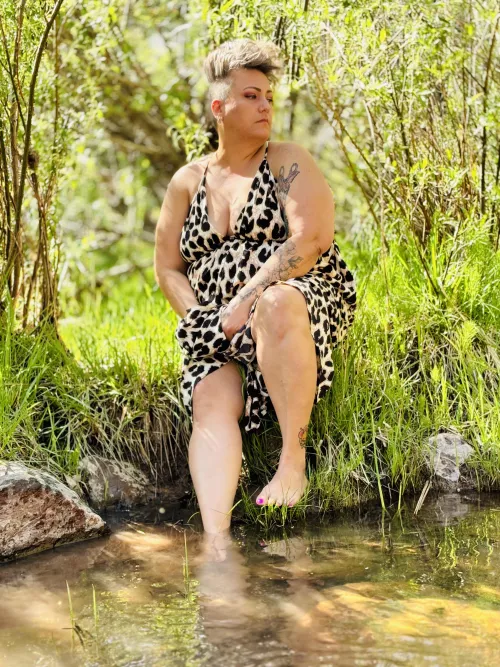 Cooling off in the creek on a hot summer day 