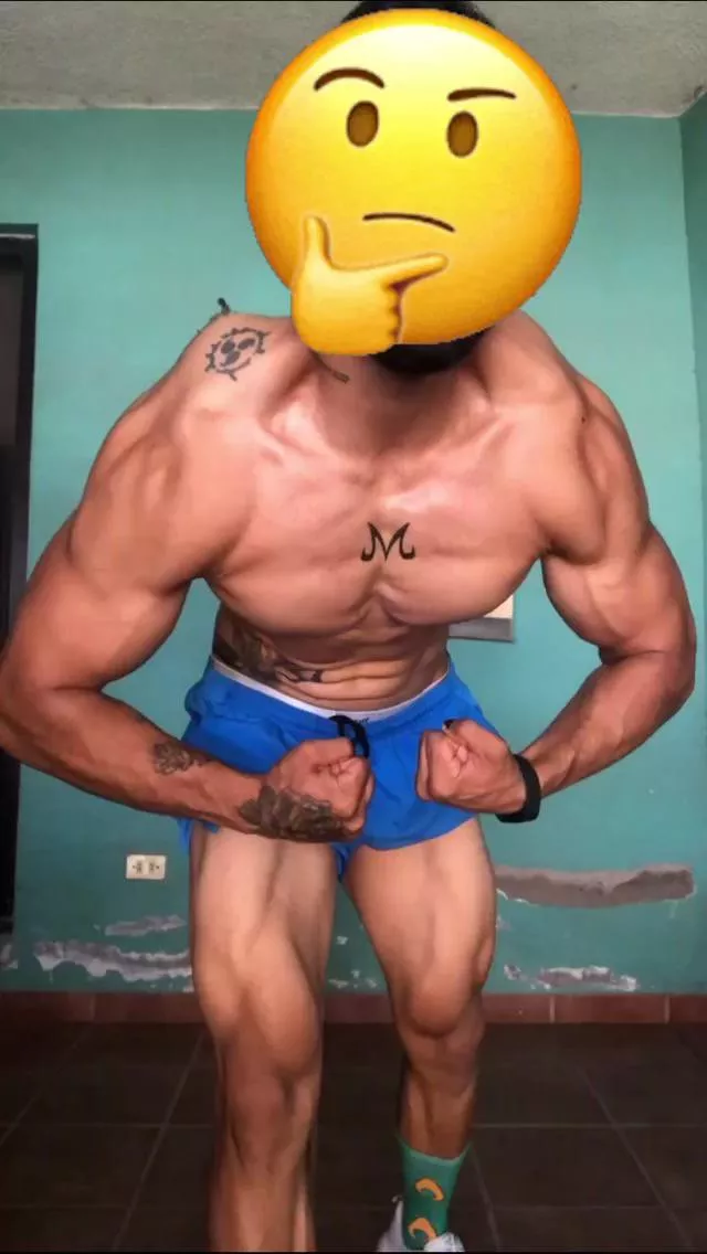 ¿How is your day going ?