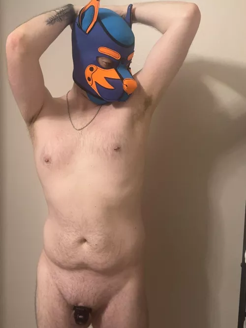 Just being a good boy