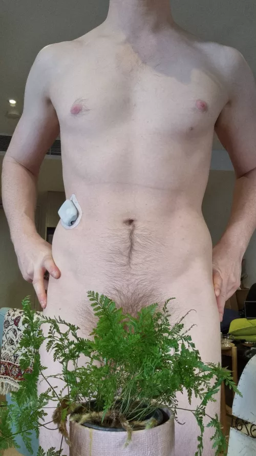 Showing Bush (27)