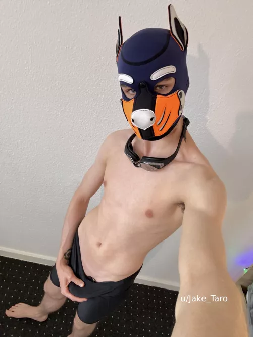 this pup likes the water 💦