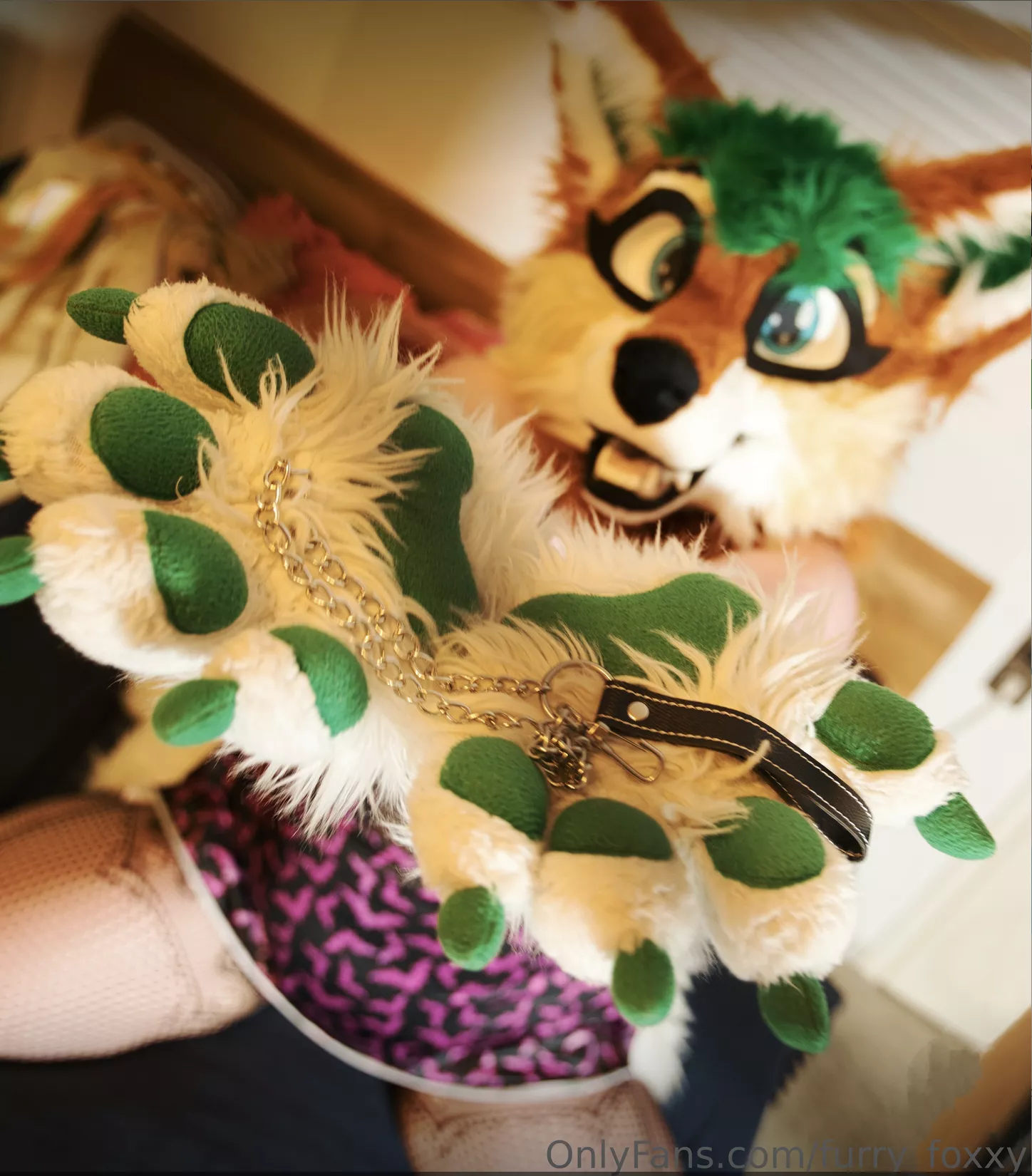 🐾 Do you dare to tame me? 🐾