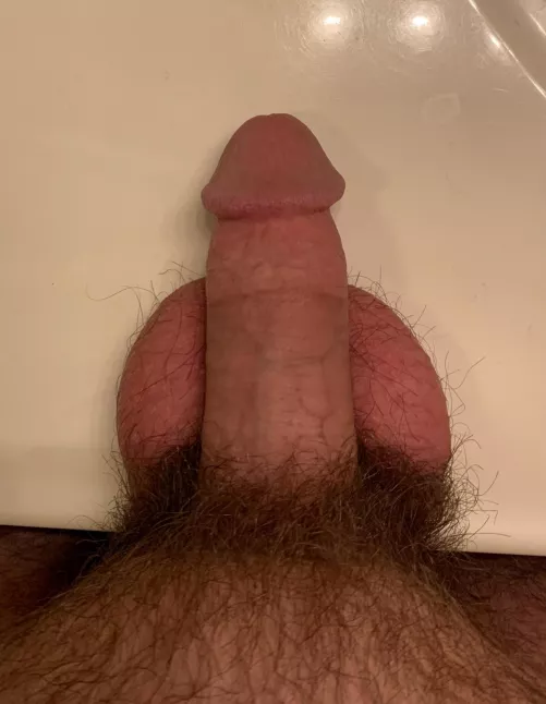 My soft dick with balls and pubic hair😎