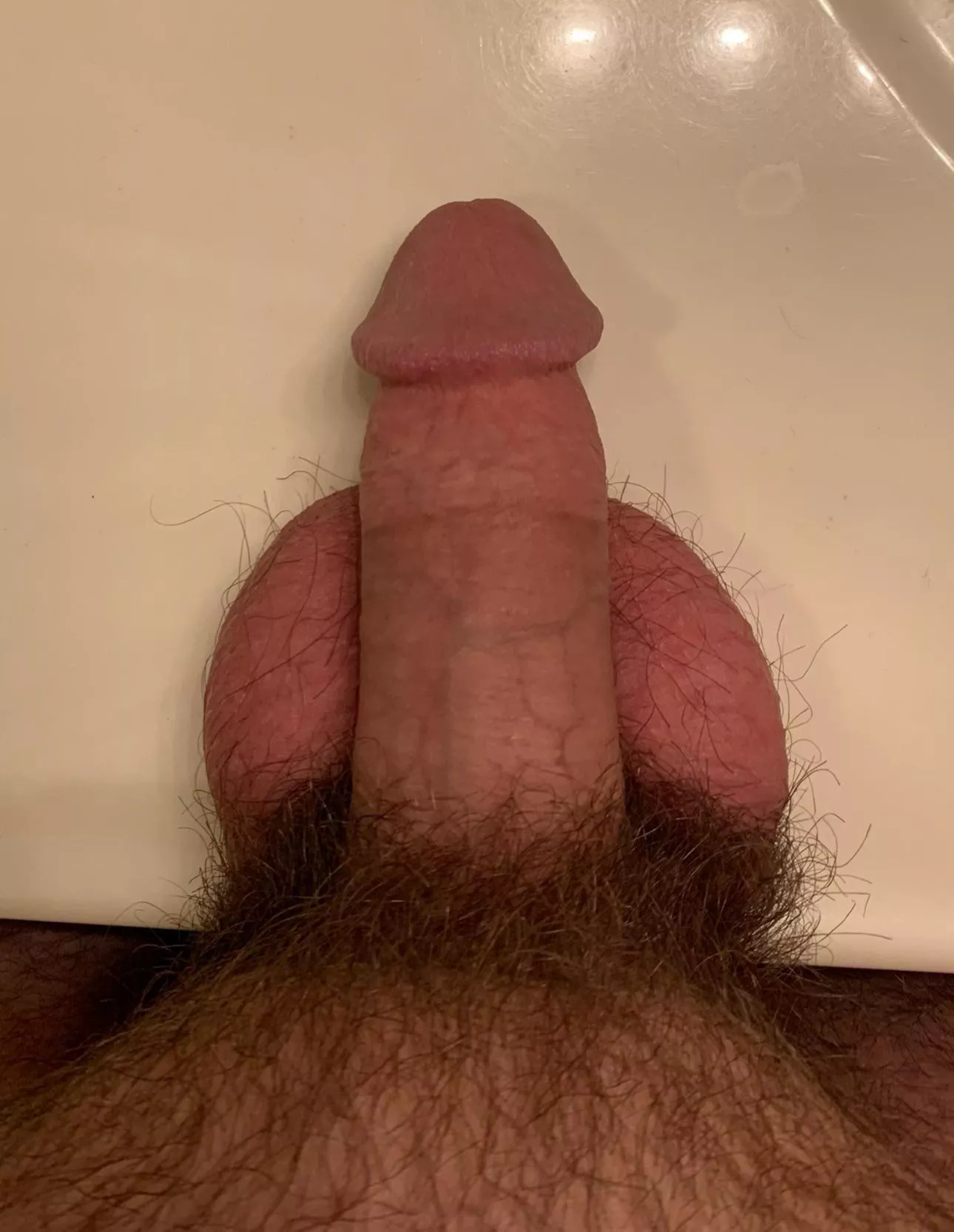 My soft dick with balls and pubic hair😎