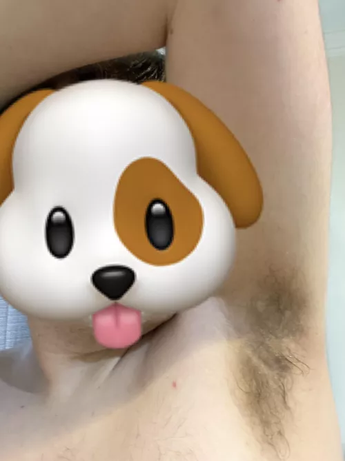 Pup just went for a walk, wanna exchange sniffs? 🐶