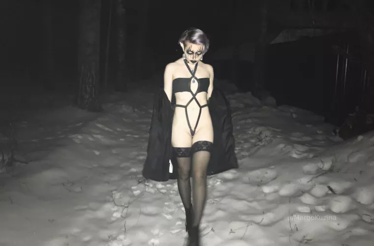 what secrets does the night forest hold