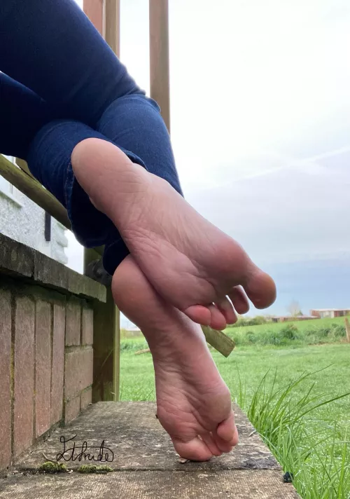 Would you stop to get a better look?