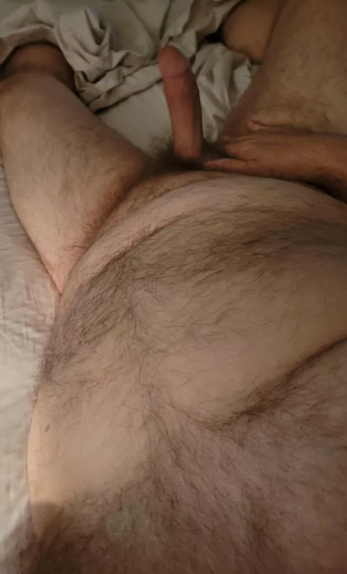56 bear dad. DM open
