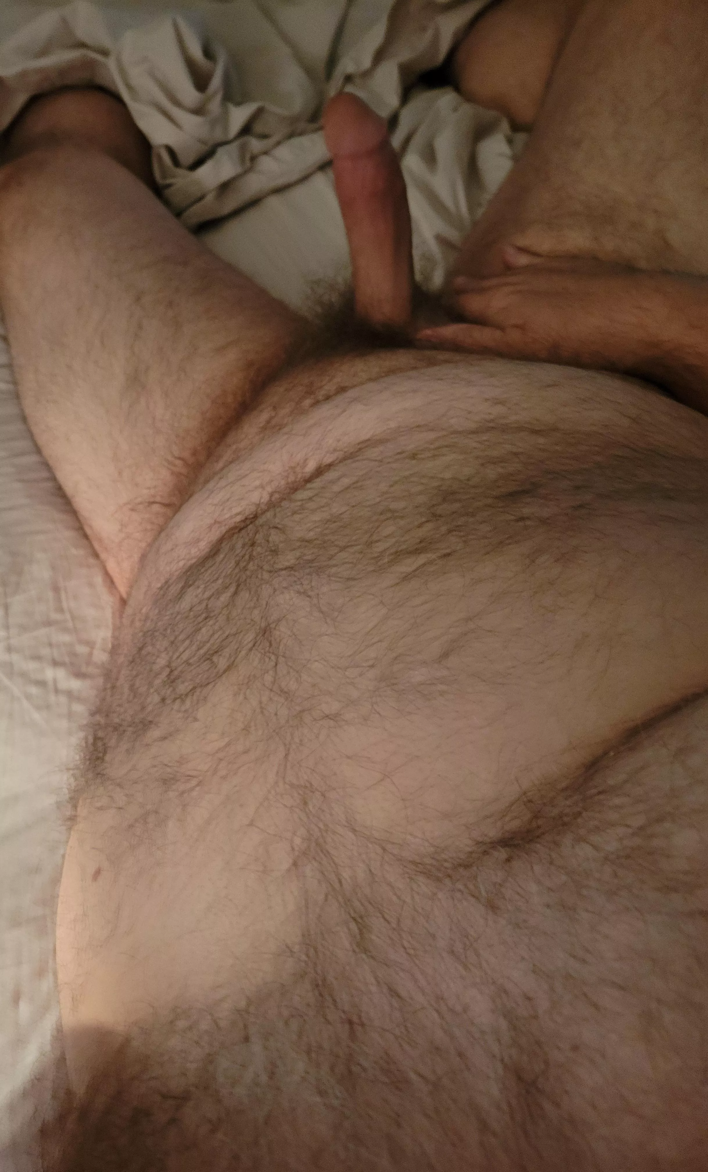 56 bear dad. DM open