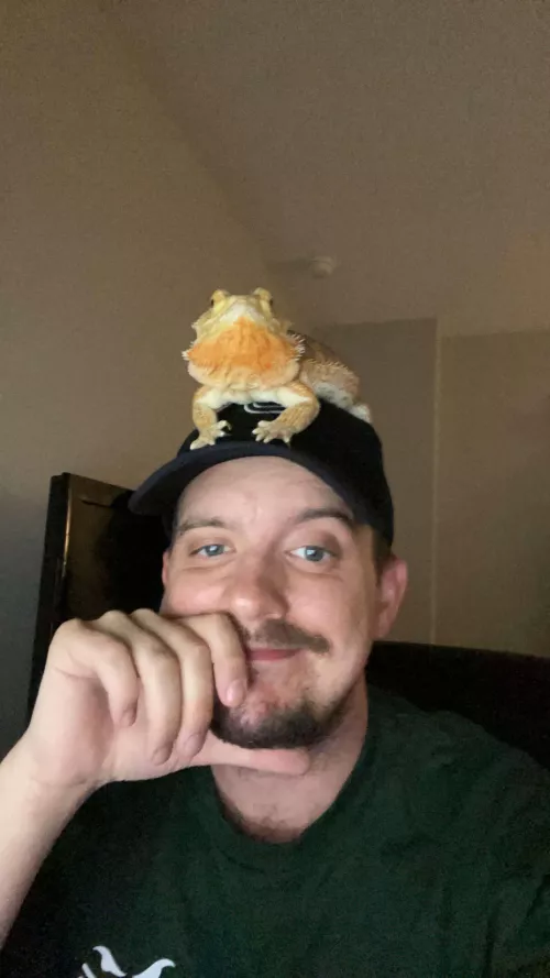 Anyone else’s pet as clingy as mine is? 