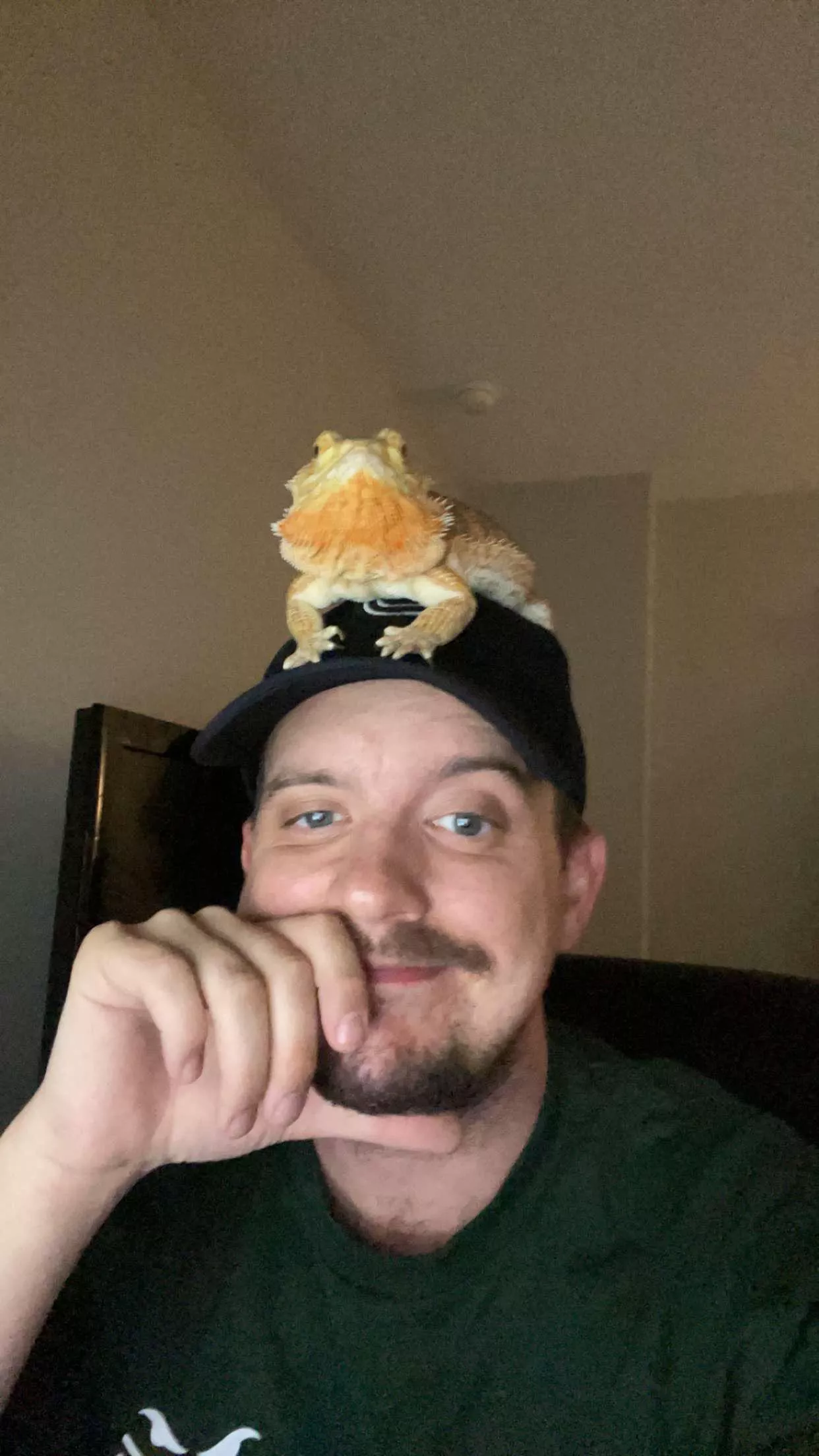 Anyone else’s pet as clingy as mine is? 