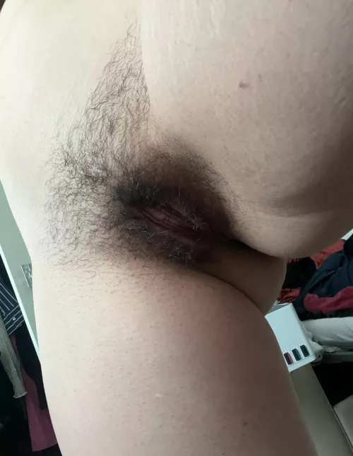 throwback to the [h]airiest it’s ever been 