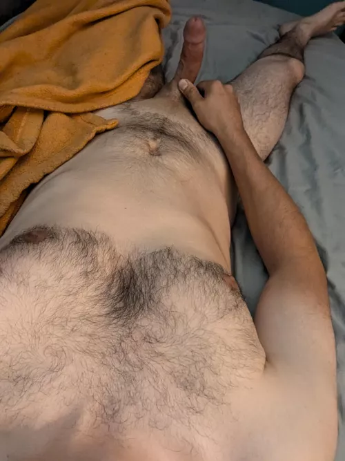 (31) how do you like the morning wood?