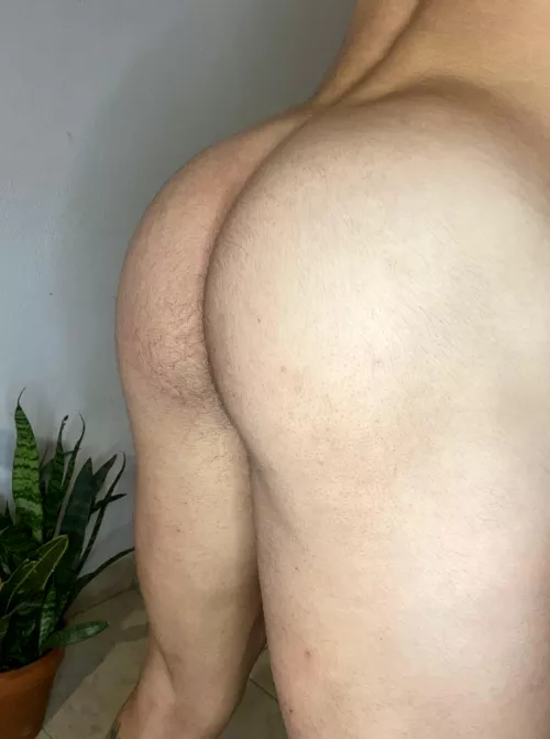 Are you ready for a taste of this fleshy, meaty treat? 