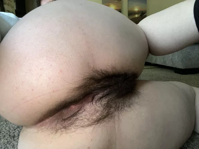 so where are the real [h]airy/ass lovers at? ;)