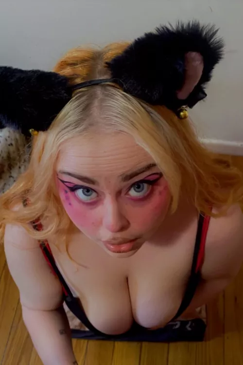 Pet me and tell me I'm a good kitty? 