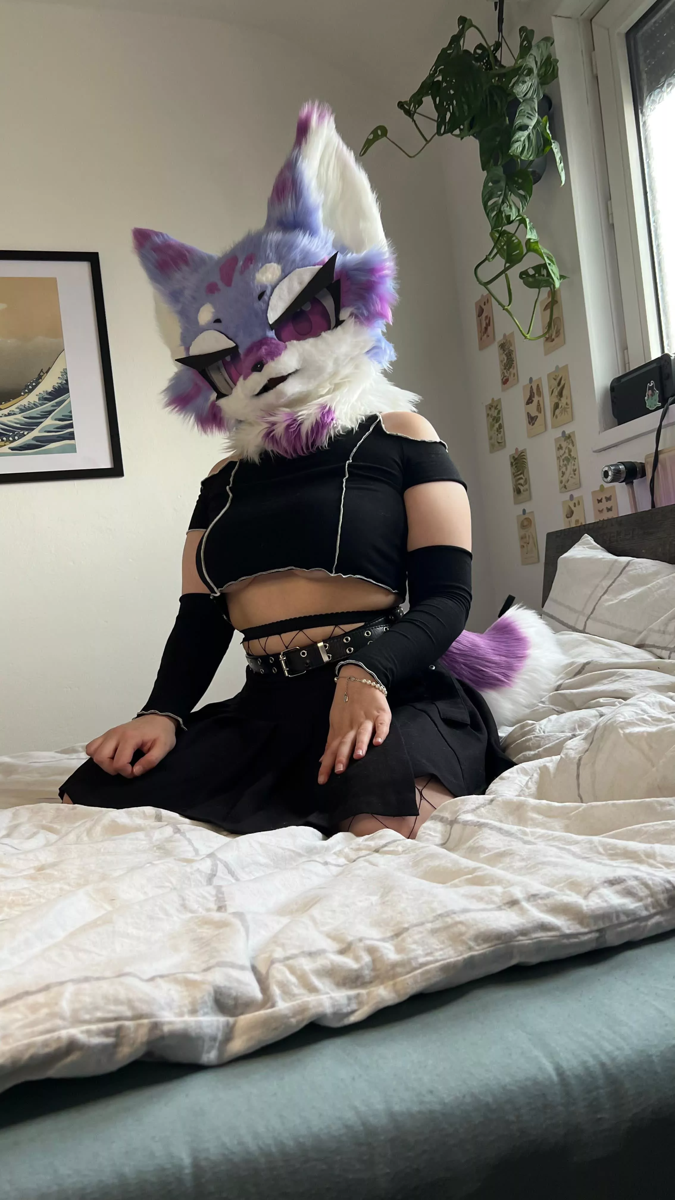 Reasons to get yourself a furry GF 🤲