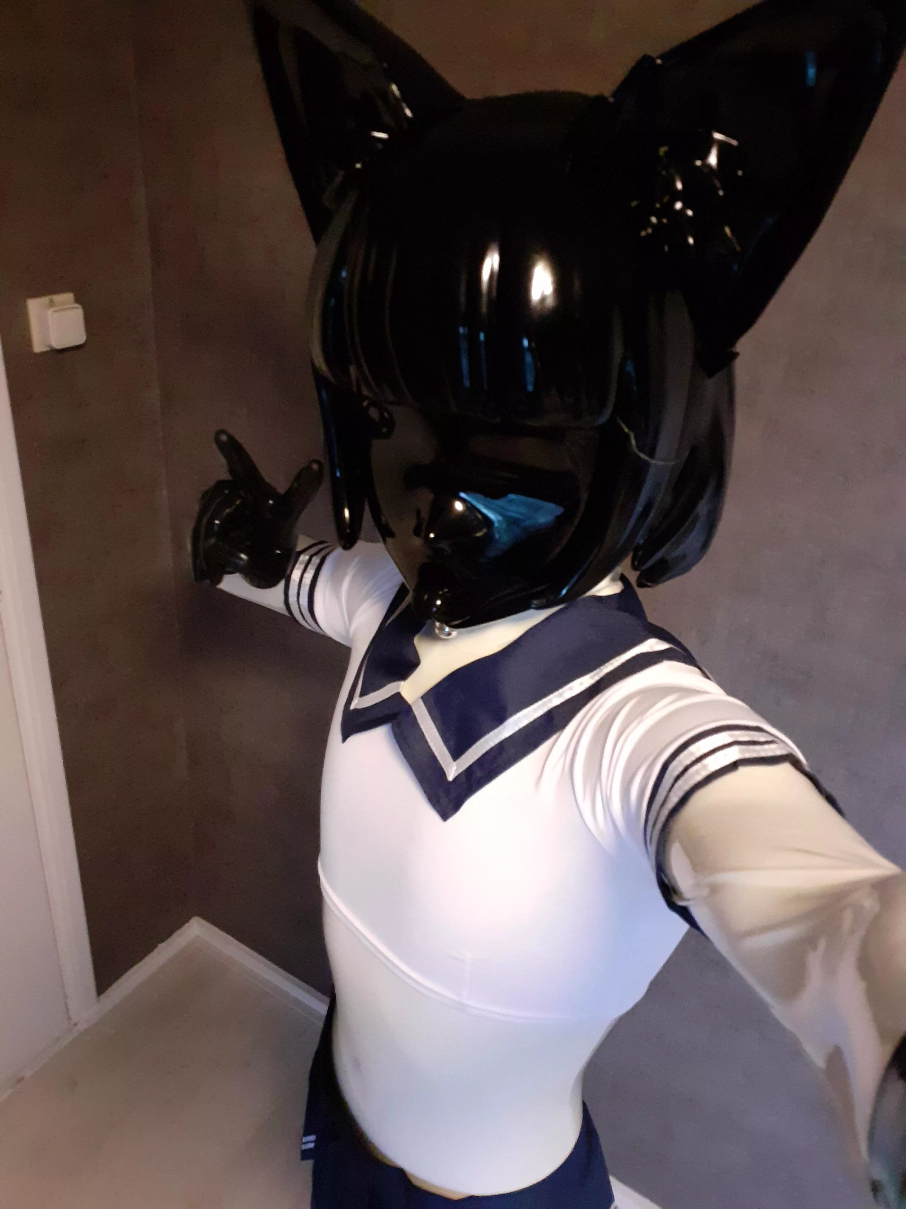Seems the kitty has found a new outfit to play around with 🤭