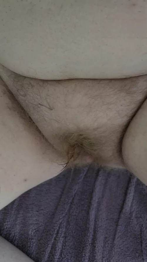 Some hairy, post shower pussy for you 😘