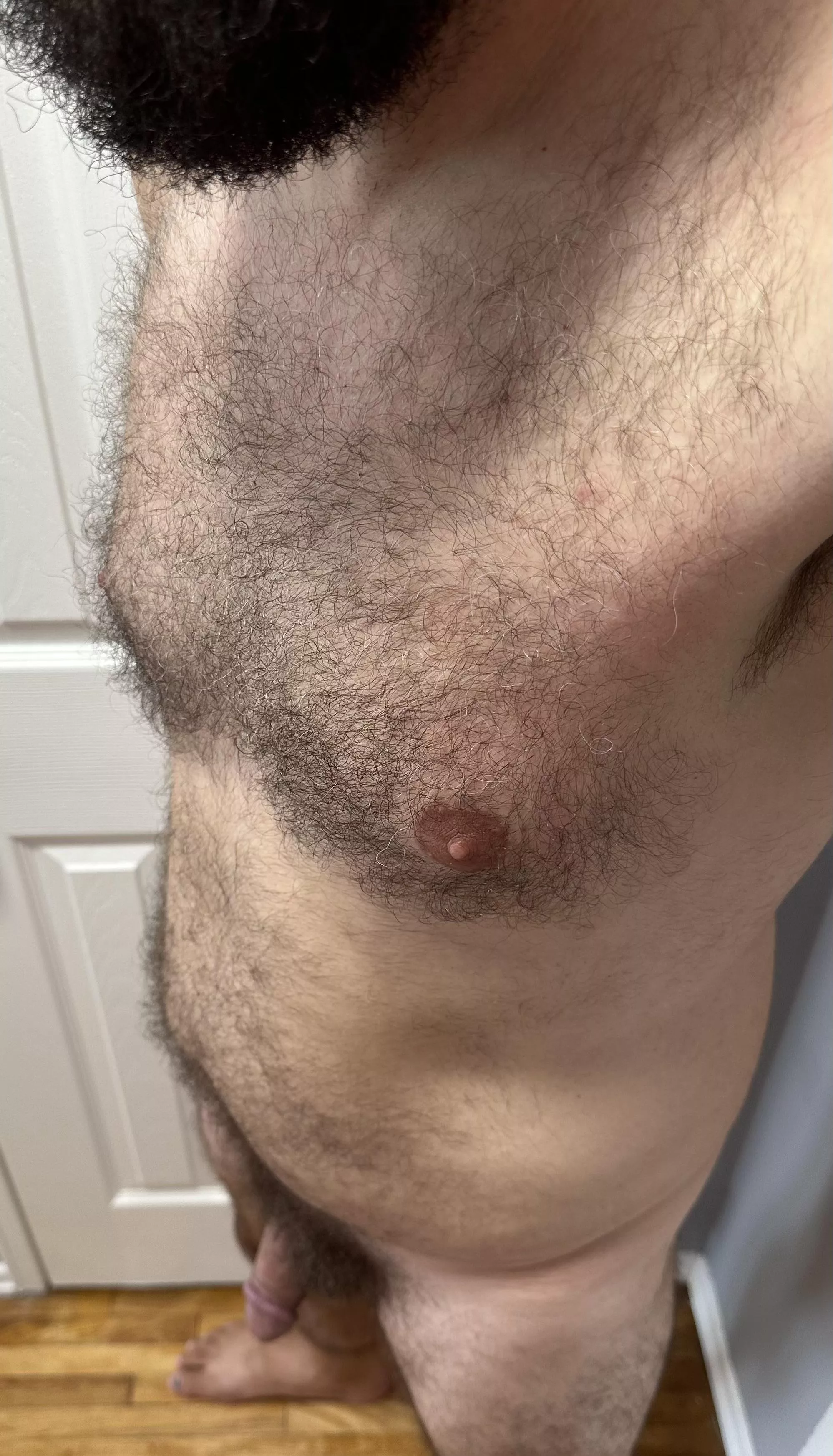 You like a hairy bear chest? 