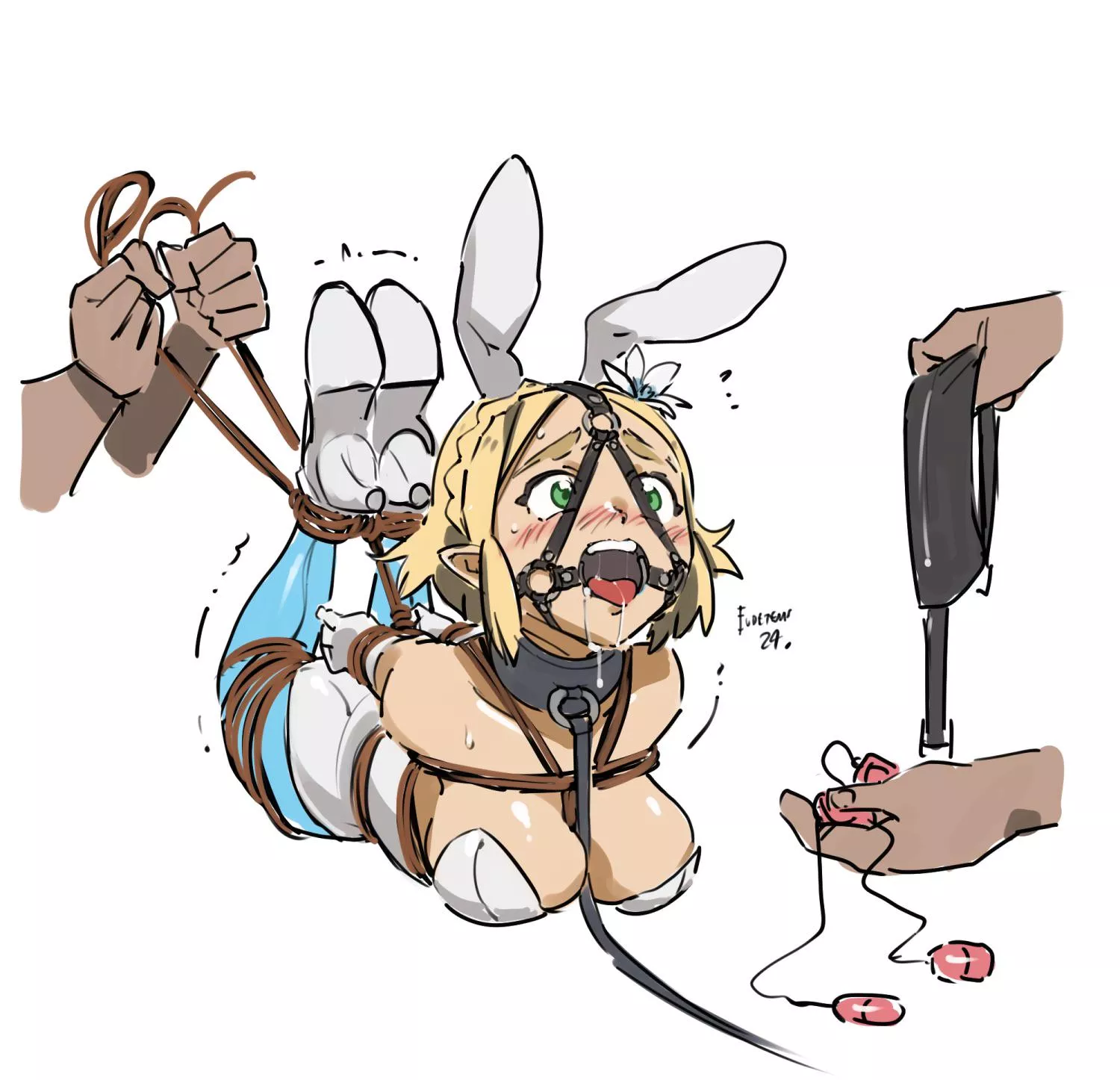 Zelda (eudetenis) [LoZ]