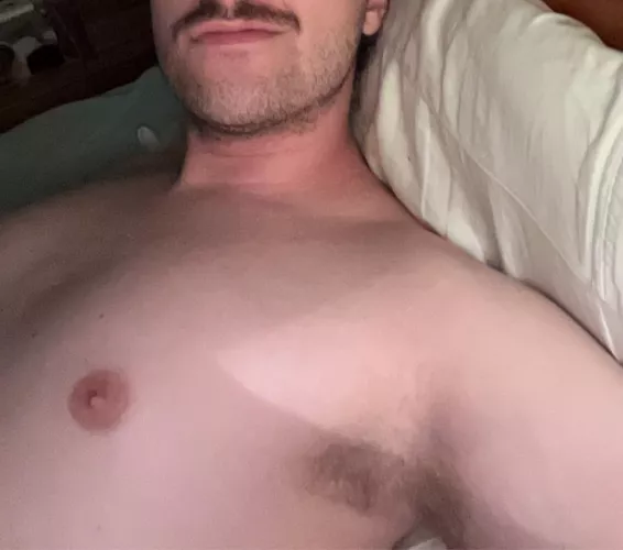 22 alabama, pits + stache combo anyone?