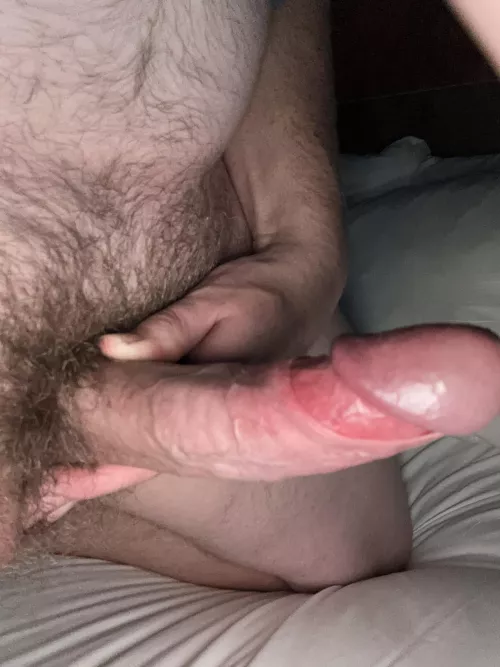 [33] I’m sad Scotland lost, can you help cheer me up?