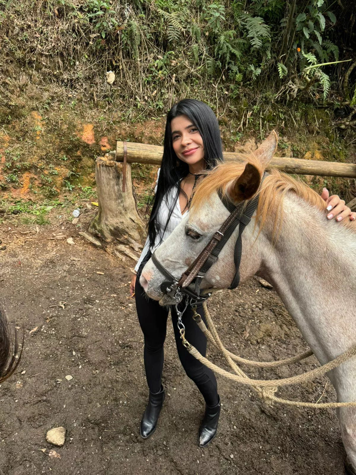 Colombina + Palestina