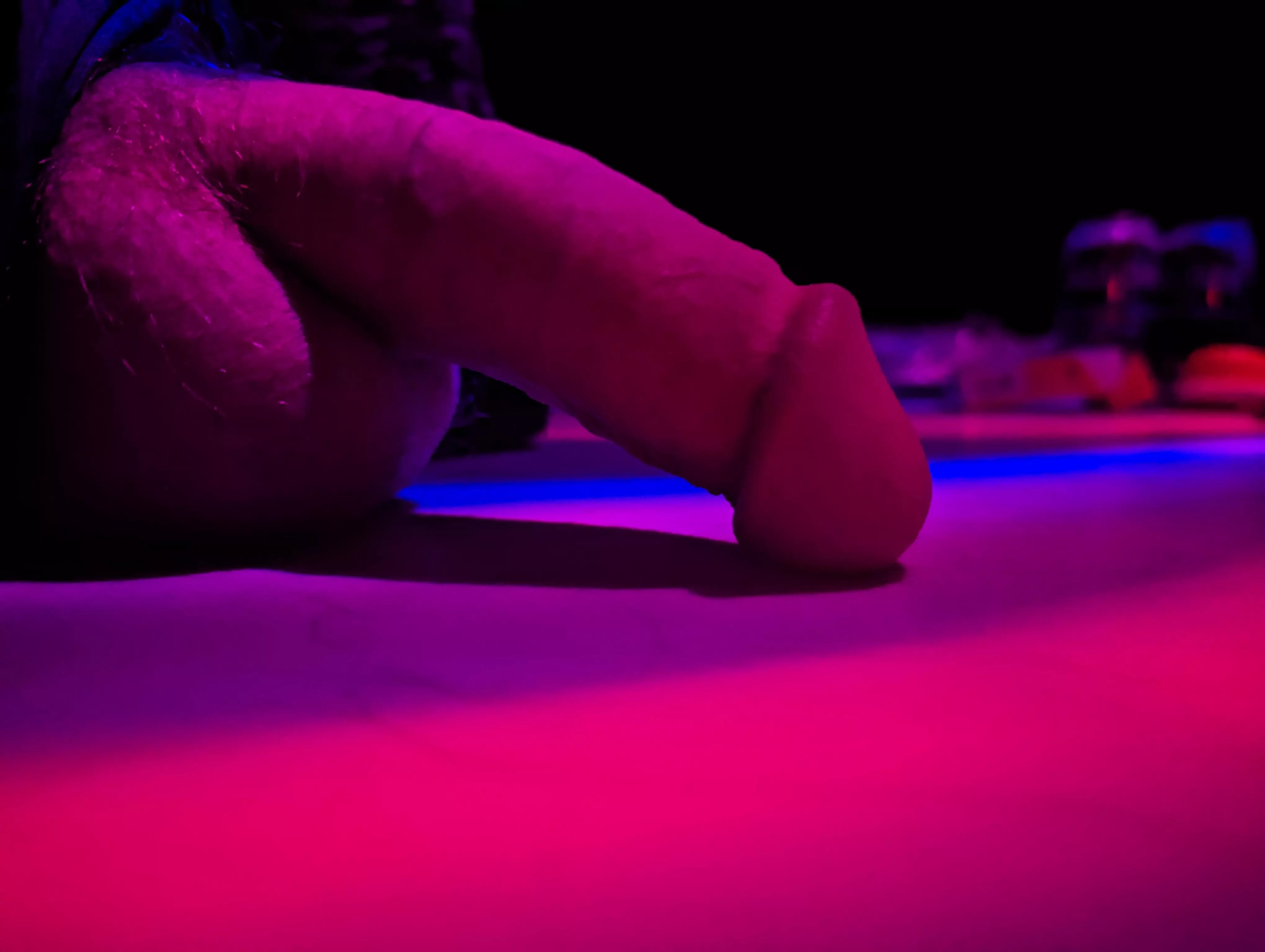 Dinner is on the table