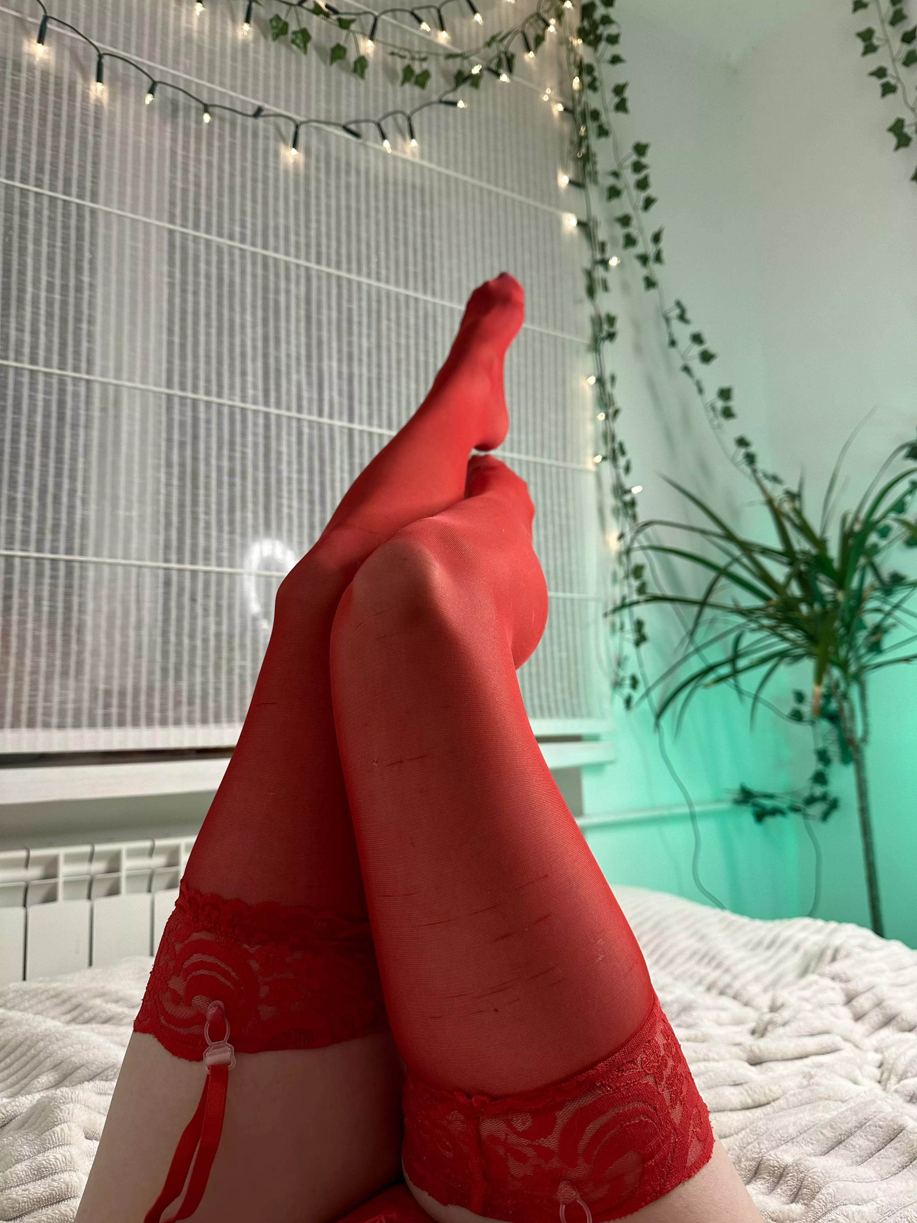 [F] I feel so sexy in these stockings