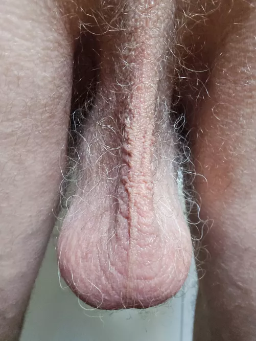 Hairy and hanging low!