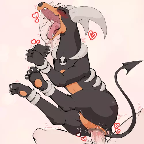 Maxing out Houndoom's Affection~ [MF] (aka leopard)