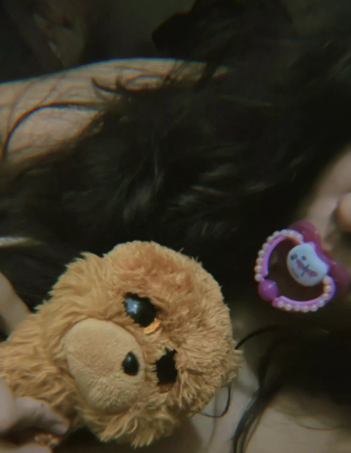 me and my new friend