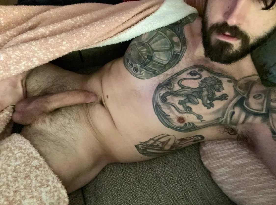 Save a horse; ride me 