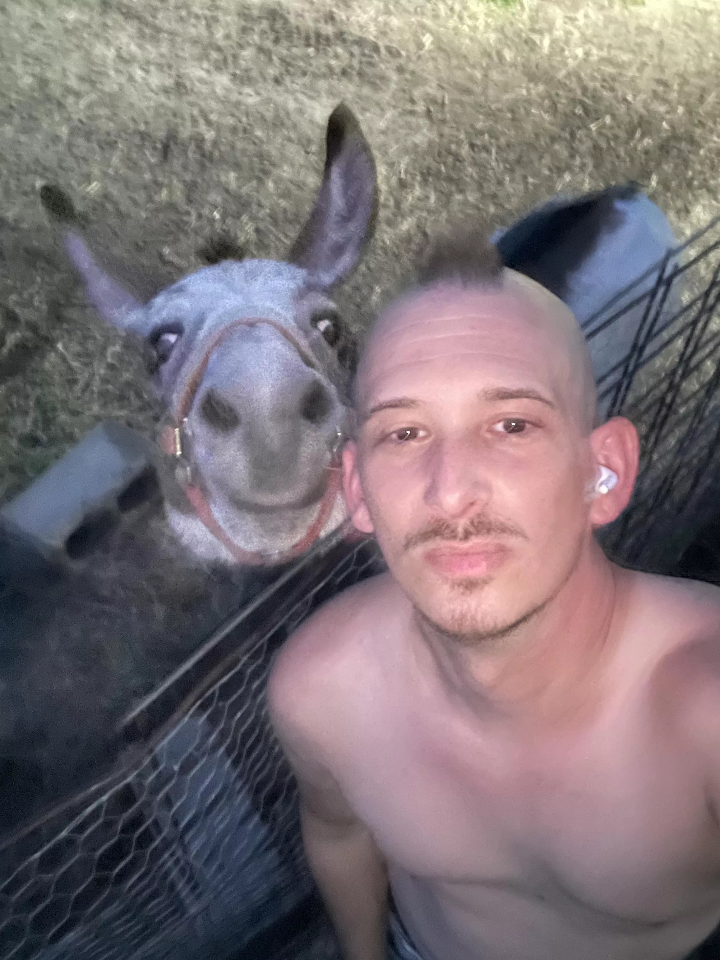 When your donkey likes to pose for pics with you.