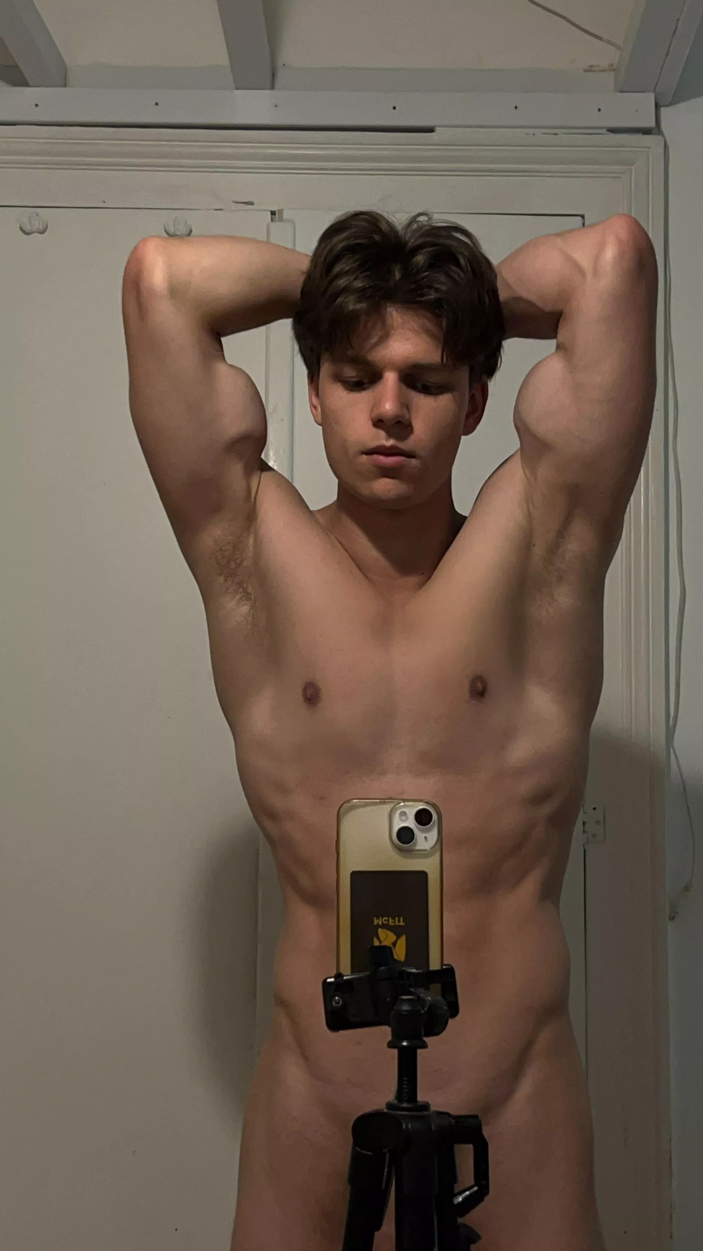 (20)Would you lick my pits?