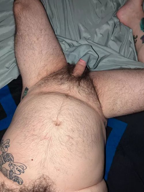 (43) just a bear tryin to cool off